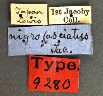 Media type: image; Entomology 9280   Aspect: labels